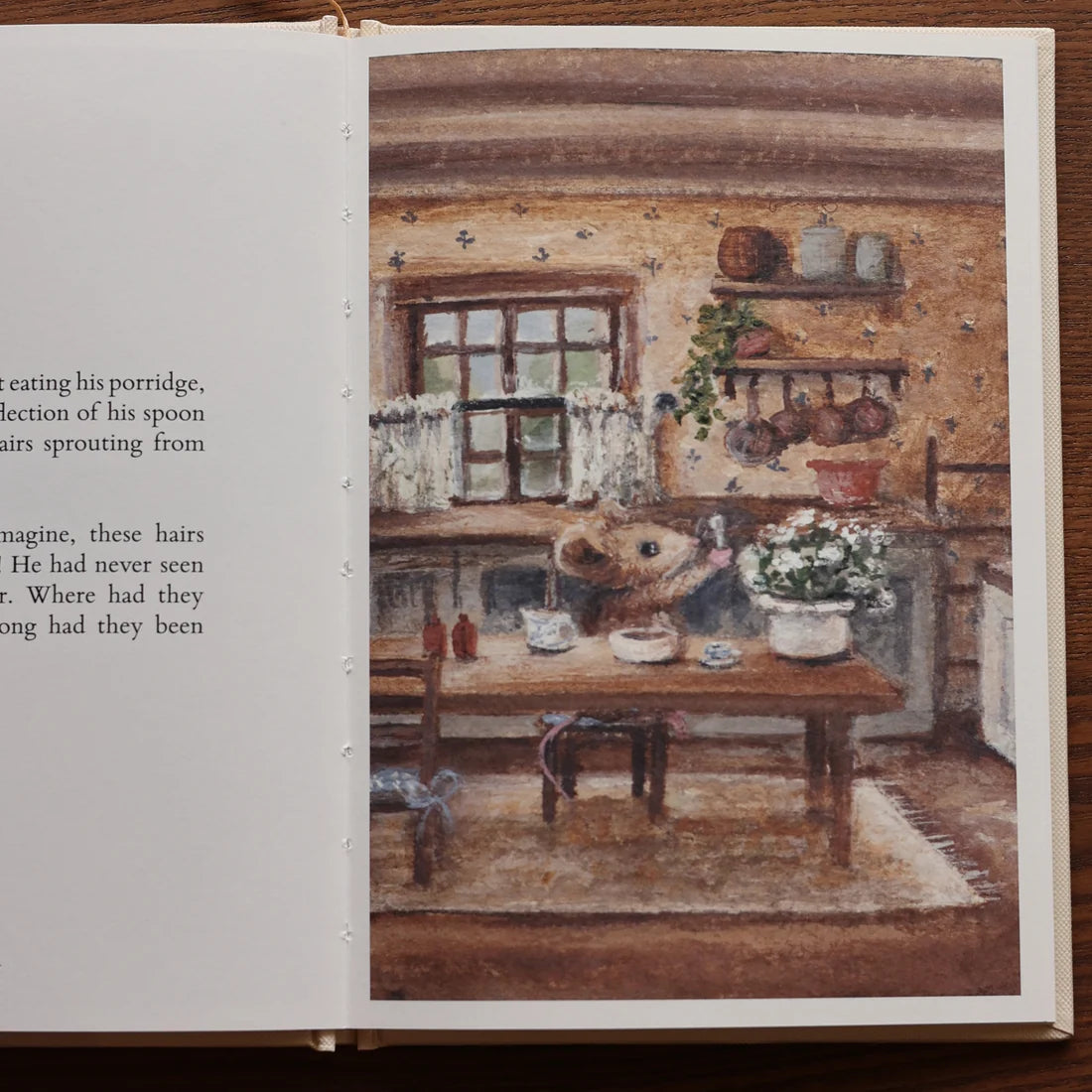 Mr Whiskers Finds His Whiskers Hardcover Storybook