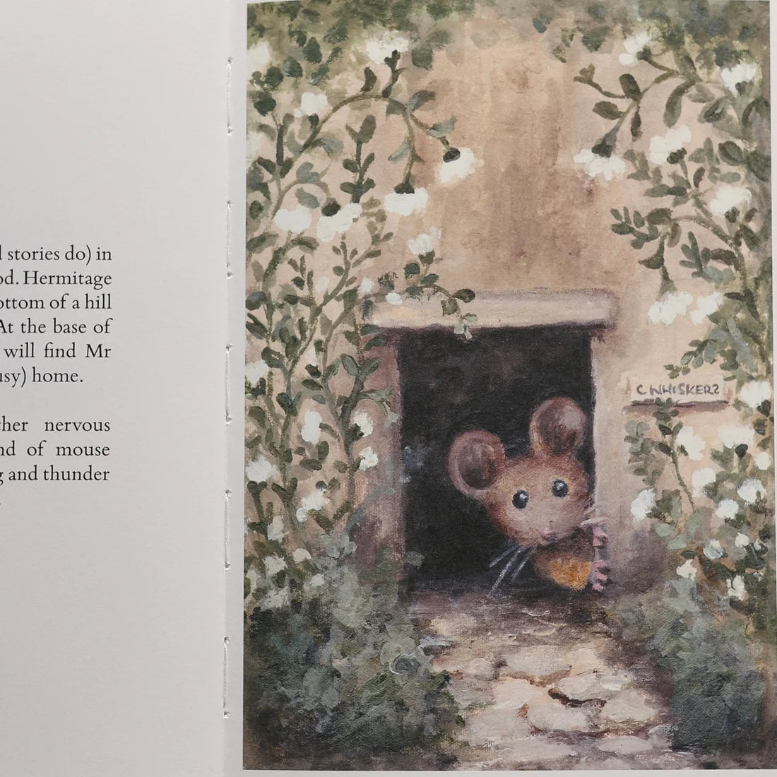 Mr Whiskers Finds His Whiskers Hardcover Storybook